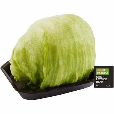 FRESHLINE CRISP LETTUCE HEAD 1HEAD