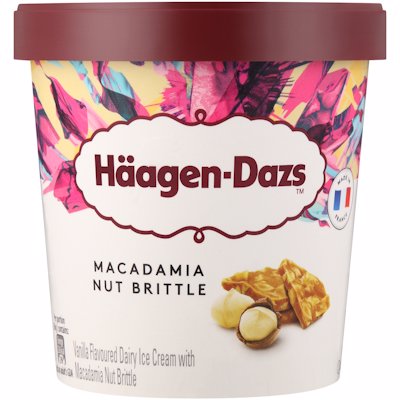 HAAGENDAZS ICE CREAM MACADAMIA BRITTLE 460ML