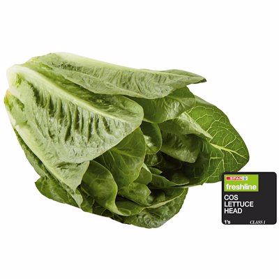 FRESHLINE COS LETTUCE HEAD 200GR