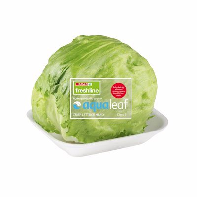 FRESHLINE AQUA LEAF LETTUCE 400GR