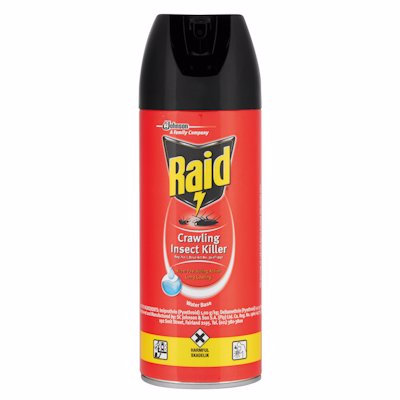 RAID CRAWLING INSECT KILLER 300ML