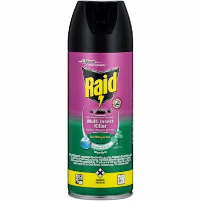 RAID DUAL L/O EUCALYPTUS 300ML